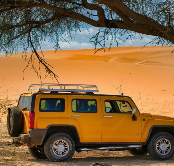 reliable online model expansion